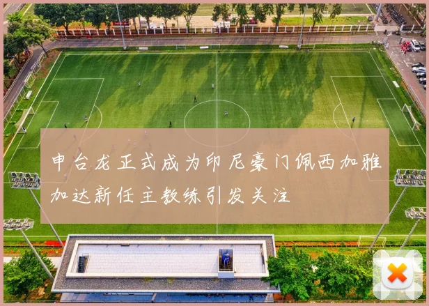 申台龙正式成为印尼豪门佩西加雅加达新任主教练引发关注