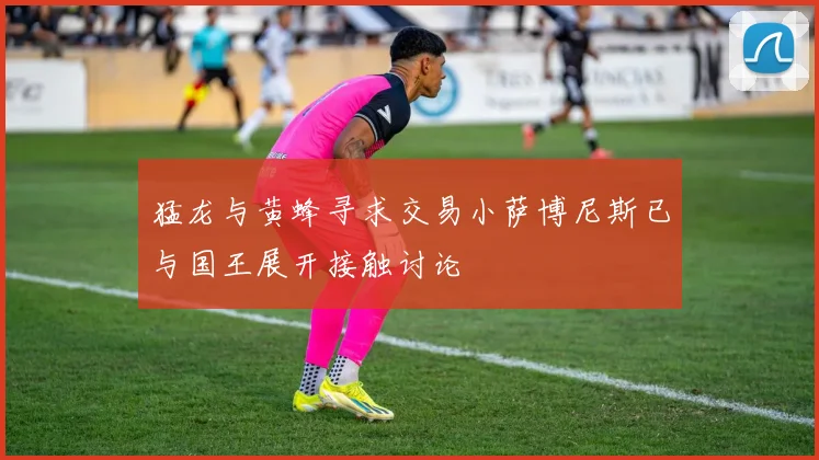 猛龙与黄蜂寻求交易小萨博尼斯已与国王展开接触讨论
